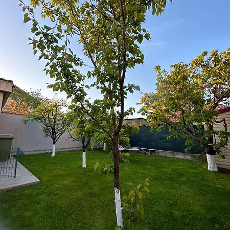 Casa Verde Констанца Екстер'єр фото
