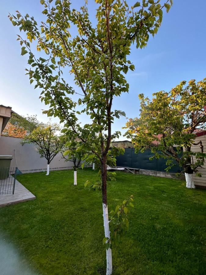 Casa Verde Констанца Екстер'єр фото